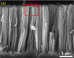 Ảnh SEM mặt cắt dây nano Si